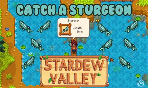 Sturgeon Stardew