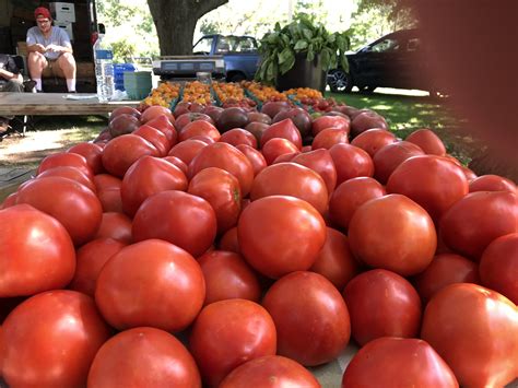 Summer Harvest Is Happening Medford Farmers Market Summer Harvest Is Happening Medford Farmers Market