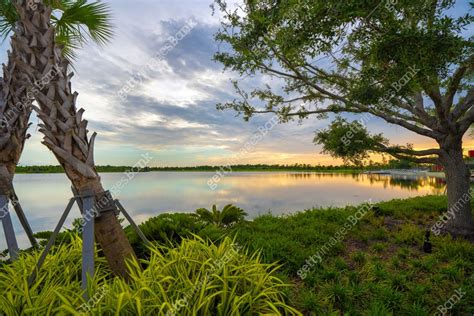 Sunset Landscape In Wellen Park In North Port Florida Beautiful Lake Sunset Landscape In Wellen Park In North Port Florida Beautiful Lake