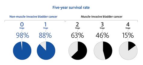 Bladder Cancer Survival Rate Insights Unveiled