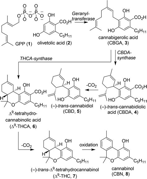 Synthesis Of Thc Chemistry Equation: Costs, Profitability, And Risk