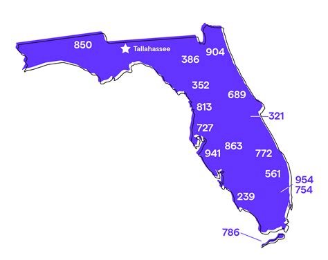 Tampa Voip Internet Tampa Fl Phone Numbers Area Codes