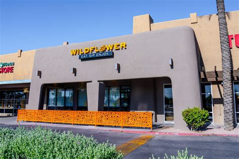 Tempe Az Tempe Square Wildflower