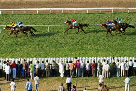 Templegate Amp 39 S Tips Unlocking The Secrets Of Horse Racing