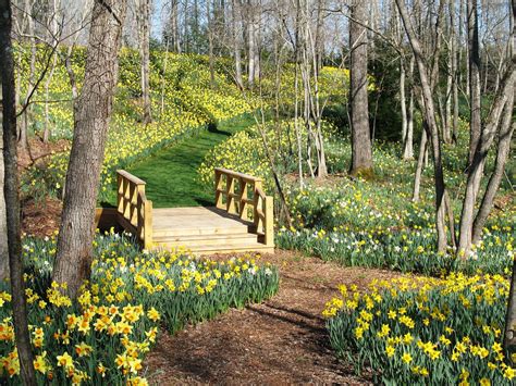 The Best Of Ball Ground Ga Updated For 2026 Home Of Gibbs Gardens The Best Of Ball Ground Ga Updated For 2026 Home Of Gibbs Gardens