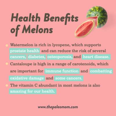 The Health Benefits Of Melons The Paleo Mom