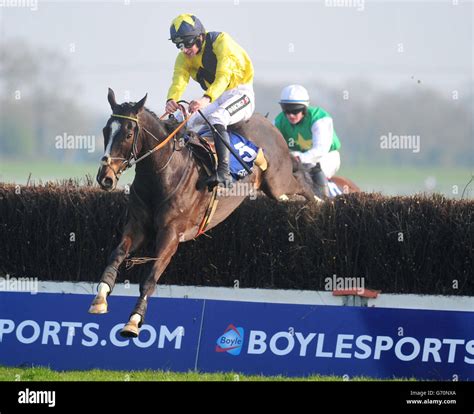 The Last Lion Horse Hi Res Stock Photography And Images Alamy The Last Lion Horse Hi Res Stock Photography And Images Alamy