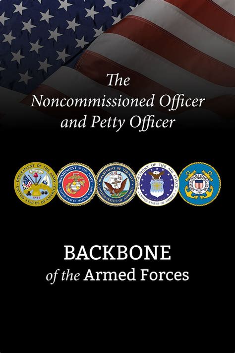 The Noncommissioned Officer And Petty Officer Backbone Of The Armed Forces Institute For National Strategic Studies News