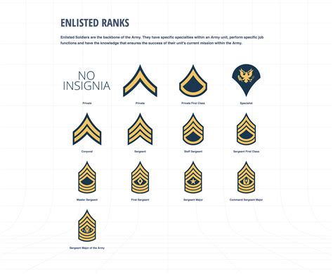 The Ranks Of The Army