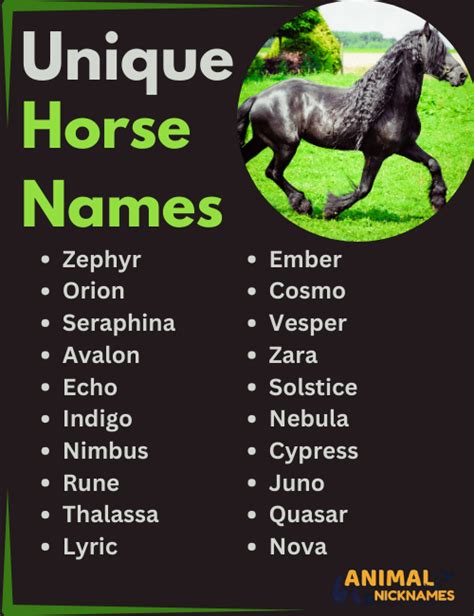 Top Most Unique Horse Names 150 Best White Horse Names With Meanings
