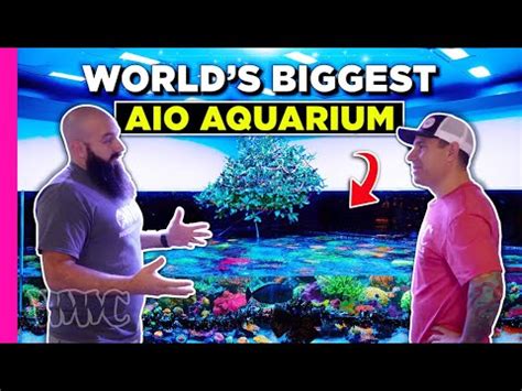 Turning The Lagoon Into The World Amp 39 S Biggest All In One Aquarium 1 200 Turning The Lagoon Into The World Amp 39 S Biggest All In One Aquarium 1 200