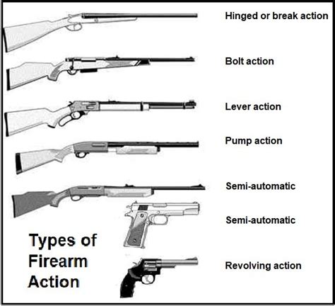 Types Of Firearm Amp Firearms Amp 39 Parts Whole Earth Education