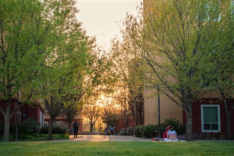 UC Davis Summer Session 2023: Transformative Learning Opportunities