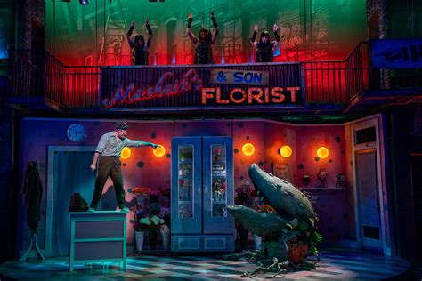 Une Exposition Amp Quot Little Shop Of Horrors Amp Quot Pousse South Pasadena Nbc