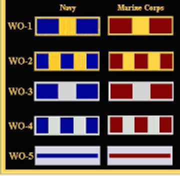 Usmc Boot Camp Prep Flashcards Quizlet