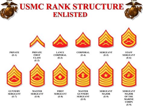 Usmc Enlisted Rank Premium Marine Corps Insignias Superherodiy Usmc Enlisted Rank Premium Marine Corps Insignias Superherodiy