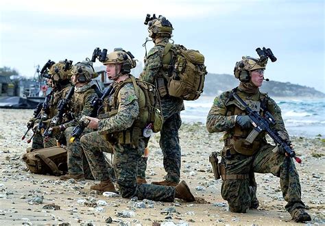Vik Force Reconnaissance Marines From The 31St Marine
