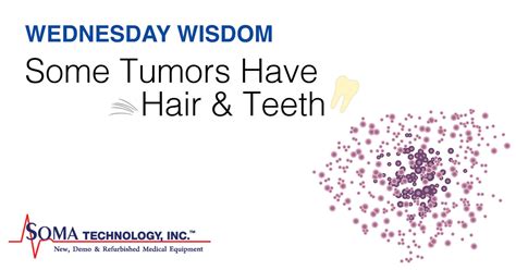Wednesday Wisdom Some Tumors Have Hair And Teeth