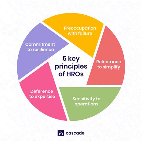 What Are The 5 Principles Of Hro At Amy Kent Blog