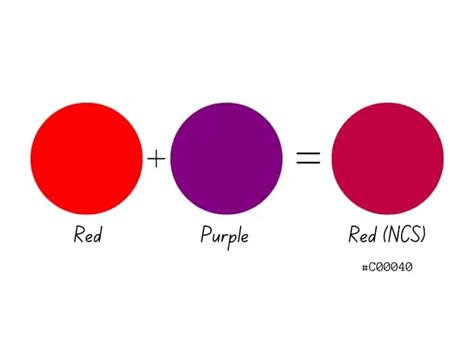 The Surprising Mix: What Do Purple and Red Make?