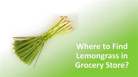 Where To Buy Lemongrass Find It In The Grocery Store Where To Buy Lemongrass Find It In The Grocery Store