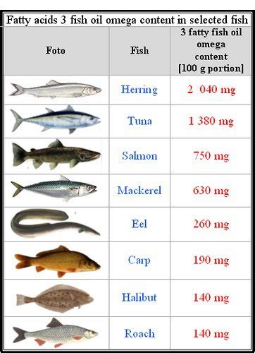 Which Fish Has Most Omega 3 2025 Qaqooking Wiki