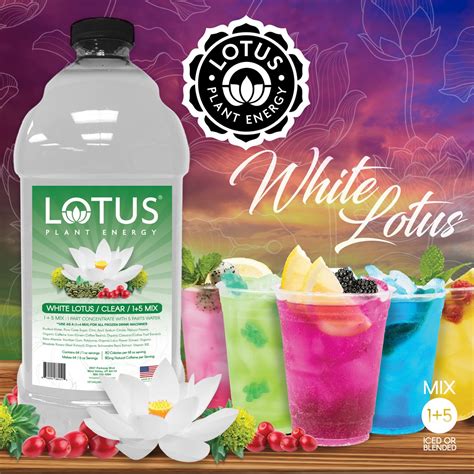 White Lotus Drink Flavor At Lois Wing Blog White Lotus Drink Flavor At Lois Wing Blog