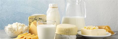 Wholesale Dairy Products