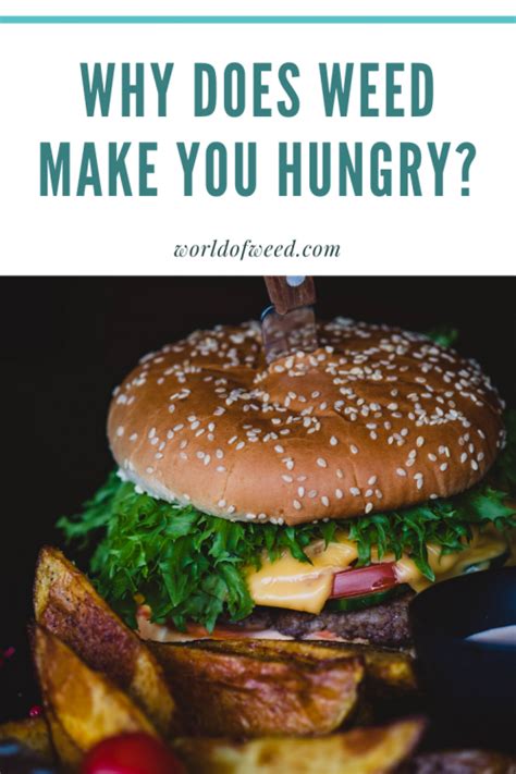 Why Weed Triggers 'Hungry Hormone' Effect?