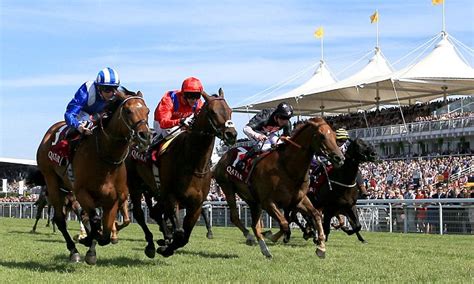 William Haggas To Consider Racing Muthmir At The Totescoop6 Beverley Bullet On Saturday Daily Mail Online